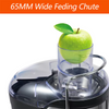High Quality 350W Power Electric Juice Extractor with Stainless Steel Housing