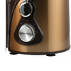 Home Appliances Manufacture Electrical Juice Extractor Big Feeding Mouth Fruit And Vegetable Juice Extractor Orange Juicer