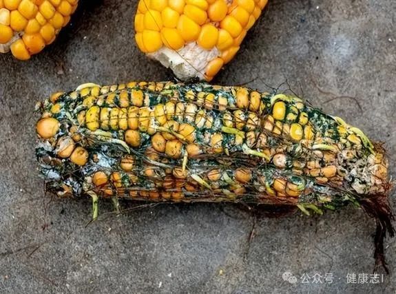corn
