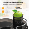Home Best Fruit Juicer 400w Commercial Juice Extractor with Full Copper Motor 