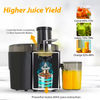 Commercial Popular Electric 800W Juicer Blender and Juice Extractor For Sale
