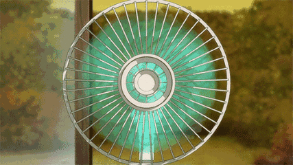 fan