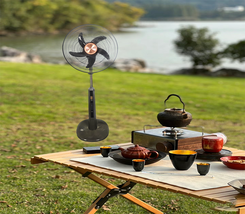 rechargeable stand fan
