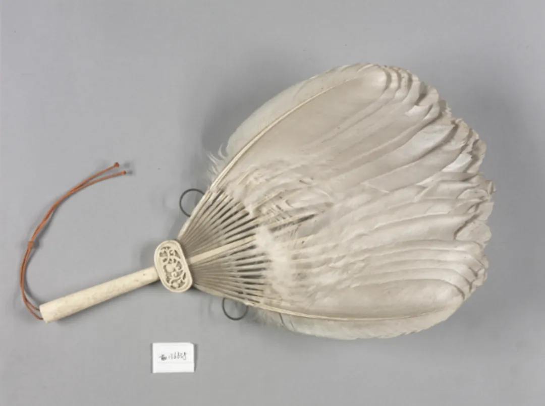 white fan