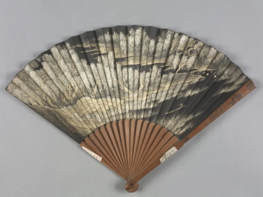 beautiful fan