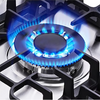 Great Quality Kitchen Product Appliance Optional Knob Gas Cooker Gas-Fired 5 Head Burner Stainless Steel Gas Hob