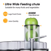 4 in 1 Multifunction Household Electric Juice Extractor And Juicer Blender with Overload Protection