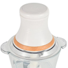 Electric Meat Chopper with 1 year guaranteed and stainless steel/ glass bowl optional（FC-002）